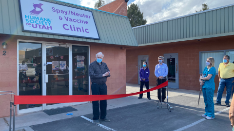 A Year in Review: St. George Clinic